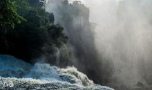 十二生肖中，23号那几位桃花运最旺。