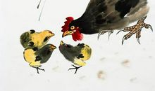 生肖鸡一生的总运势，爱情，财运，事业，健康！