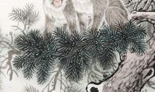 结婚后感情最稳固的3对生肖，婚姻不分崩离析，爱情不出门半步