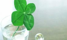 十二生肖周运势(10月23-10月29)