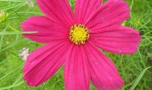 一生拥有好财运的生肖，年轻到老，从无缺钱的时候，注定享福不尽