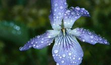 11月后苦尽甘来，意外之财降临，赚钱赚到手软，成上等人的生肖