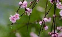 下周开始能转穷为富的3生肖，财大气粗，事业和爱情双丰收