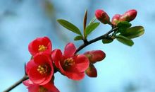 8月31号不得了，9月1号了不得，3生肖大喜天降，五福临门，19年升官又发财