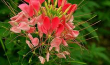 11月1号开始赚八方之财，4属相升官发财运纷至沓来，日子幸福美满