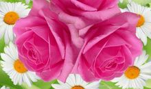 11月中旬好运不停歇，余生全是好日子的生肖，生活富贵有余