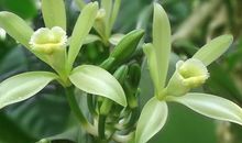 1992年的生肖何时好运(图文)