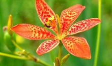 11月鸿运当头，财运大爆发，有房有车有存款，最不缺钞票的生肖