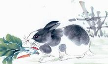 生肖兔、龙、蛇11月份运势：气势如虹，万里长空任翱翔！