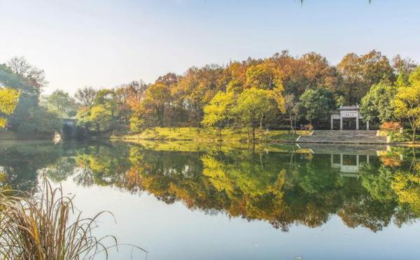 10月中旬交好运，财运急涨，富贵难挡，咸鱼翻身的3个星座 2