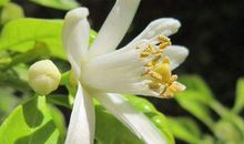 未来7天财运冲天，万财齐发，钞票如雨，赚的钱十年花不完的生肖