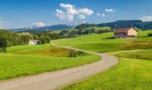 下周开始，喜鹊登门，100%大大好消息，3生肖鸿运缠身，金银大奖飞进门