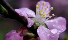 11月开始富贵开始接近3生肖，未来十年势必功成名就，发家致富