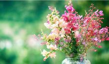 1，2，3号，转大运、迎大喜，3大属相不得了，喜从天降，彩票中奖，天天开口笑