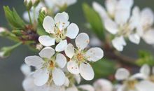 10月底有财，横财运佳，贵人运上升，大鱼大肉生活滋润的3个星座