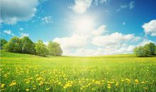 算命的说： 11月1号起，天上掉财、地上生金，3生肖时来运转，金银大奖躲不掉