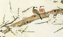 11月吉人天佑的四生肖，财富享不尽，运势比火旺