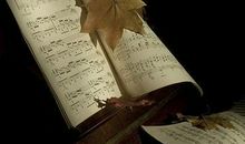 伤害婚姻运的风水有哪些