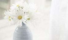 10月26日星座运势，处女座回报上升、双鱼愉悦转势、摩羯投资慎重