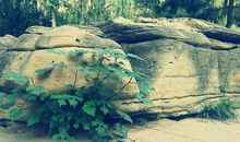 晨霁2019年9月份摩羯座星座运势：即将转运