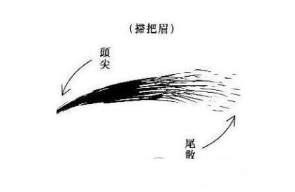 眉毛看相算命图解，黄薄眉注定会孤独一生 4