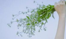 婚前聪明，婚后变笨，不过是倍受老公宠溺的三大星座女