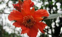 11月初开始贵人格外多，四生肖生活幸福甜蜜，日进斗金财运亨通!