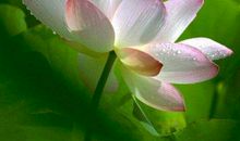 11月霉运远离，走大运的生肖，无灾无难，富贵降临，谁都惹不起