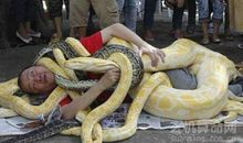 梦见蛇缠身是不祥之兆，预示着最近工作压力太大