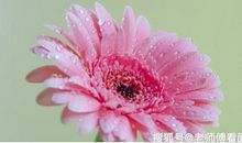 10.28-10.31号运势最火的三生肖，福旺财多，事业有成