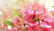 恭喜四生肖大波横财乘风来，11月8号开始策马扬鞭，近期福报不浅!