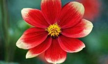 四生肖财星高照，8月26号开始八字藏金银，头上有祥云!