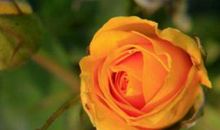 2019年横财频发，财富大赚，大富大贵过一生的生肖