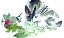 未来可期，11、12月收获意外之财，生活惊喜不断的三大生肖