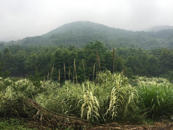 风水案例：风水大师王君植湖南看风水金星宝地，长沙衡阳风水培训弟子随师学习 1