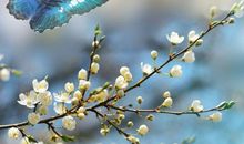 好运来到，财源相随的生肖，2020年万事如意，幸福不断