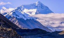 11月事业大旺，财富满仓，风生水起的四个生肖