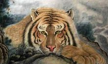 未来一周内，这3大属相放手赚大财，财运好得不行，苦到头！