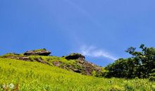 这几个生肖人，再过一个月，意外横财频临，喜事连绵，钱财滚滚来