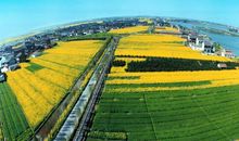 婚姻感情遭遇变节后还是会跟老公恩爱如初的生肖女