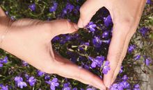 科技紫微2019年10月十二生肖运势盘点