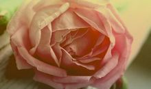 进入9月好运围绕，喜气盈门，富贵挡不住，财源滚滚来的3大生肖