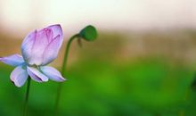 9月份开始福气满满，财运亨通，添财添喜，富贵多金不求人的生肖