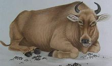 惹谁都不要惹这3大生肖，让你吃不了兜着走！