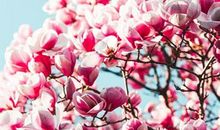 别小瞧，年末来临这些星座有贵人运势加持