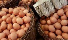 已婚女人梦见一堆鸡蛋是什么意思