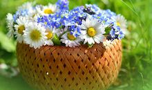 1948年的生肖何时好运(图文)