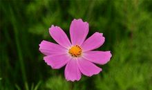 大吉！最近10天，3大生肖运势大吉，财运大利，大吉大利挣大钱！