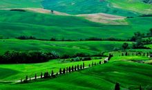 8月24日开始，鸿运当头，30天一顺百顺，财源广进，横财发发发的3生肖