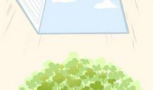 八宅风水化解 客厅挂罗盘